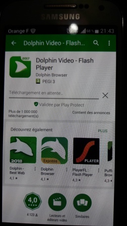 Flash player pour Dolphin
